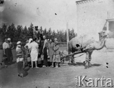 Grupa osób (m.in. Polacy) deportowanych do ziernosowchozu im. "Kirowa i Kijały", kobiety z wiadrami stoją obok beczkowozu zaprzęgniętego w wielbłąda, mężczyzna siedzący na beczce nalewa wodę.