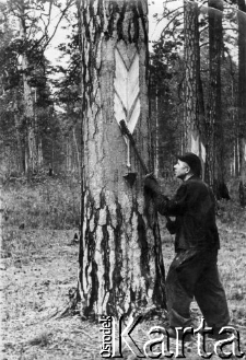 Zdjęcia Polak&oacute;w represjonowanych na terenie byłego ZSRR