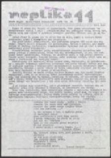 Replika. Dolny Śląsk miesięcznik niezależny, nr 11