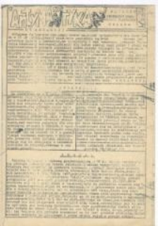 Antymantyka. Magazyn Federacji Młodzieży Walczącej, nr 5