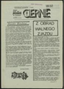 Ciernie. Pismo NSZZ "Solidarność" w Tychach, nr 18